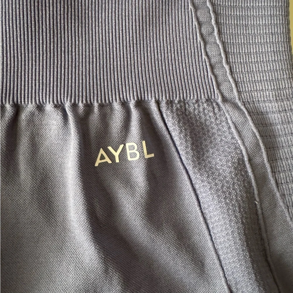 AYBL Balance V3 Seamless Leggings Mauve Women’s size large